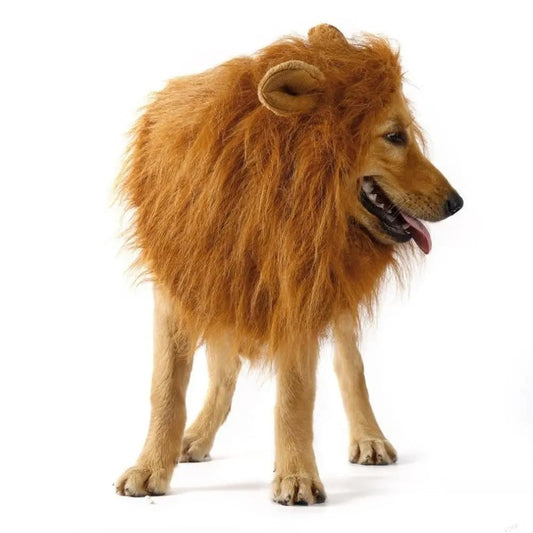 Lion Theme Dog Wig - Lady B united KingdomLady B united KingdomLady B united KingdomLady B united Kingdom